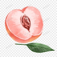 WWW,742av·COM网站APPAPP应用